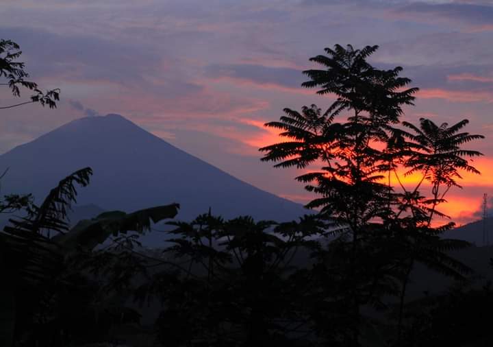 FB IMG 1670470737491