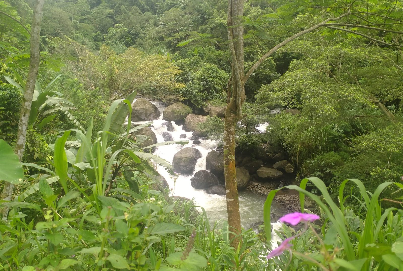 IMG 20221207 111820